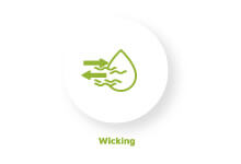 EDITABLES-ICONOS-BANNER7-WEB